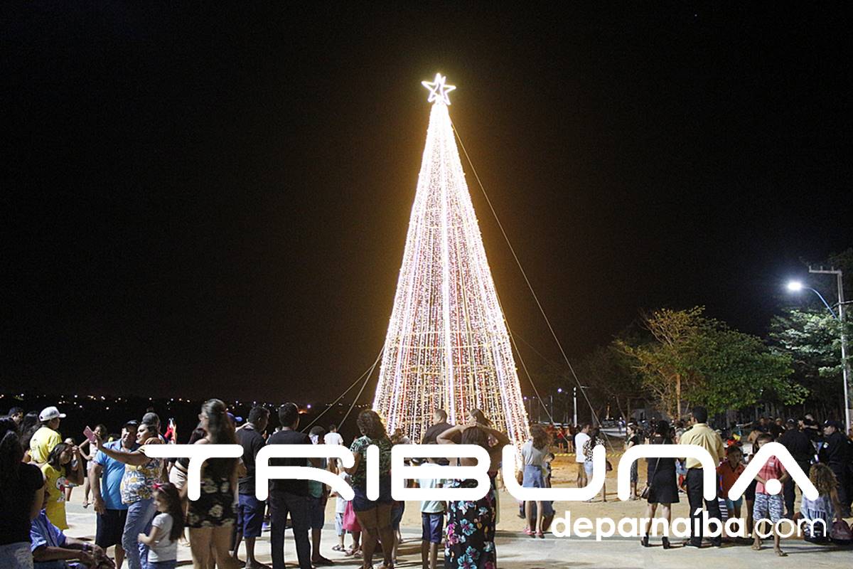 Árvore de Natal da Lagoa do Bebedouro encanta moradores e turistas